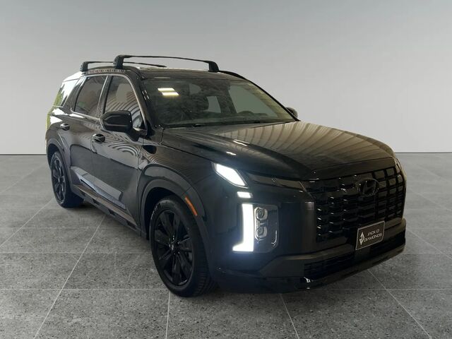 2024 Hyundai PALISADE XRT