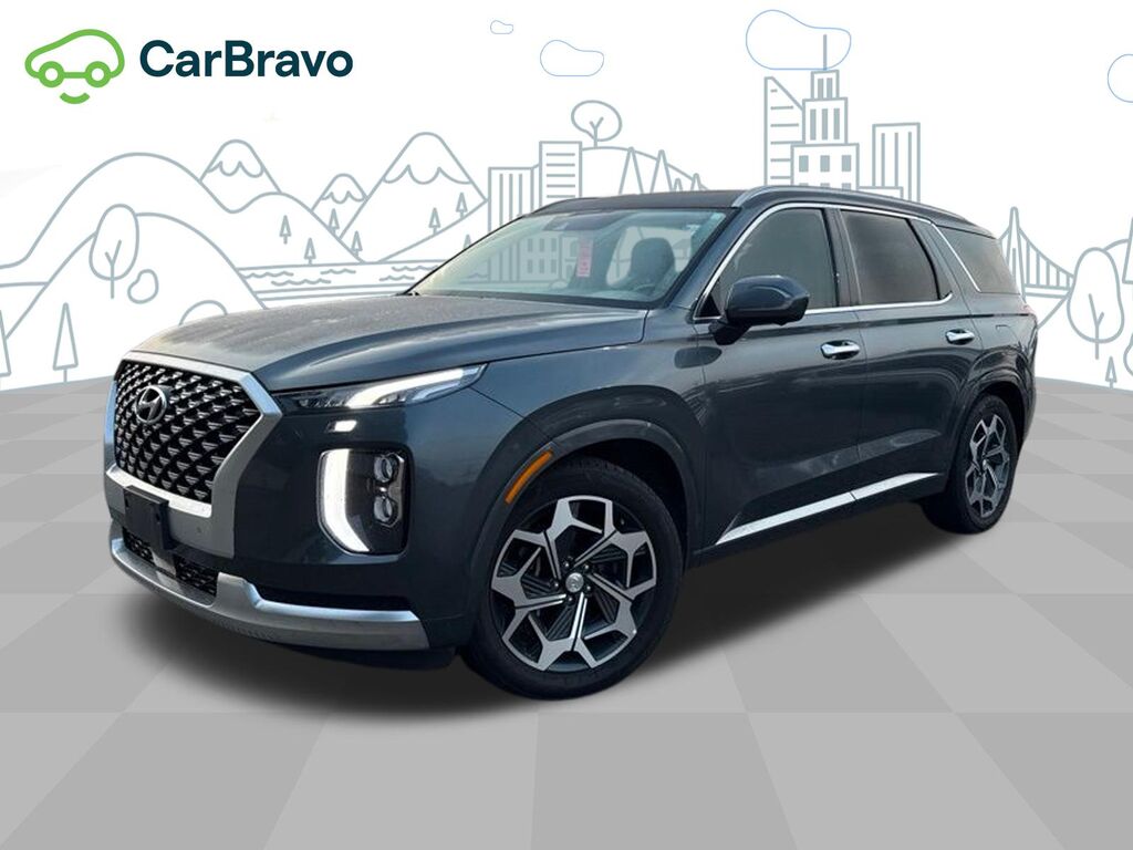 2022 Hyundai Palisade Calligraphy — photo 1 of 7