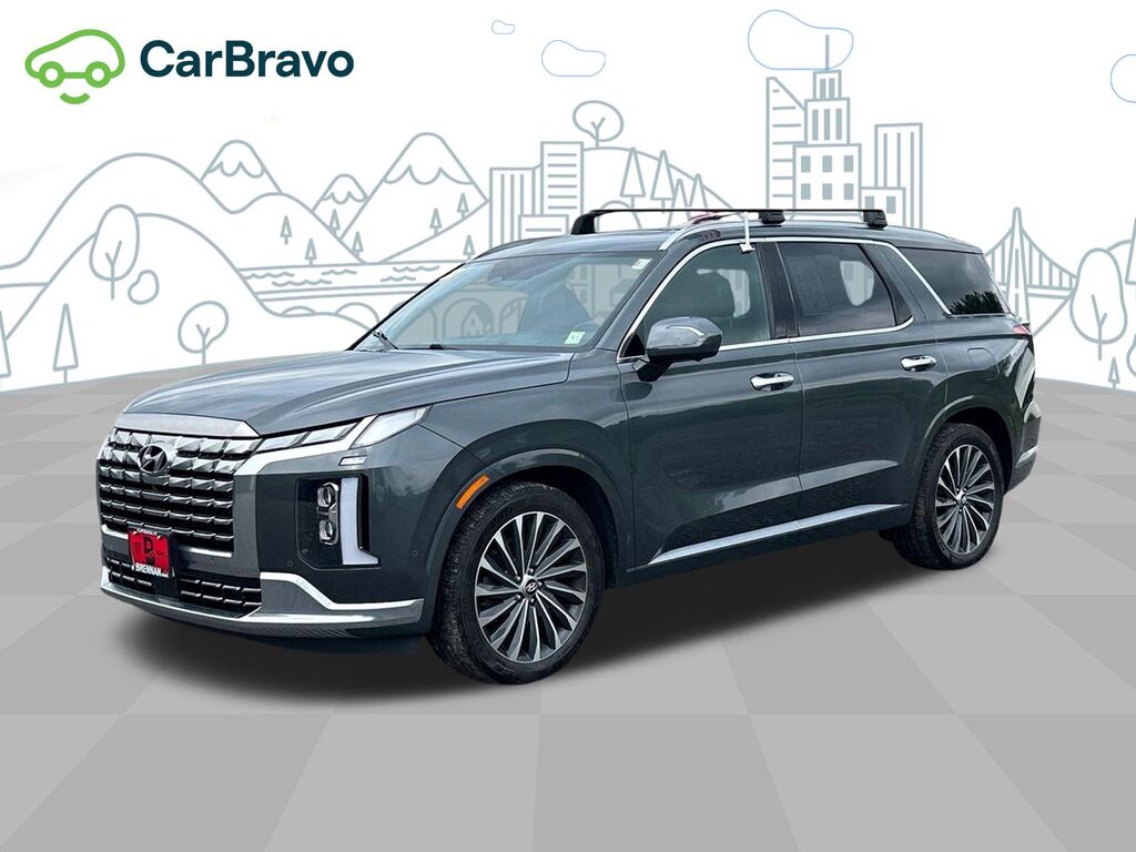 2023 Hyundai Palisade Calligraphy — photo 1 of 6