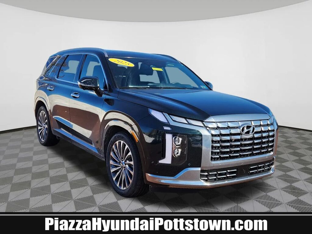 2025 Hyundai PALISADE Calligraphy — photo 1 of 13