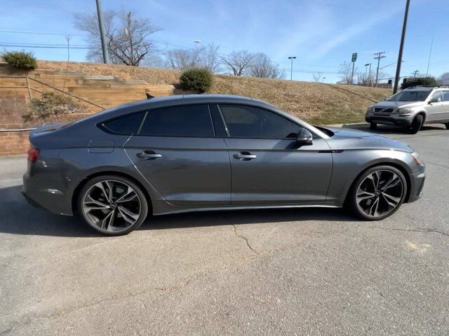 2023 Audi S5 Sportback Premium Plus — photo 1 of 1